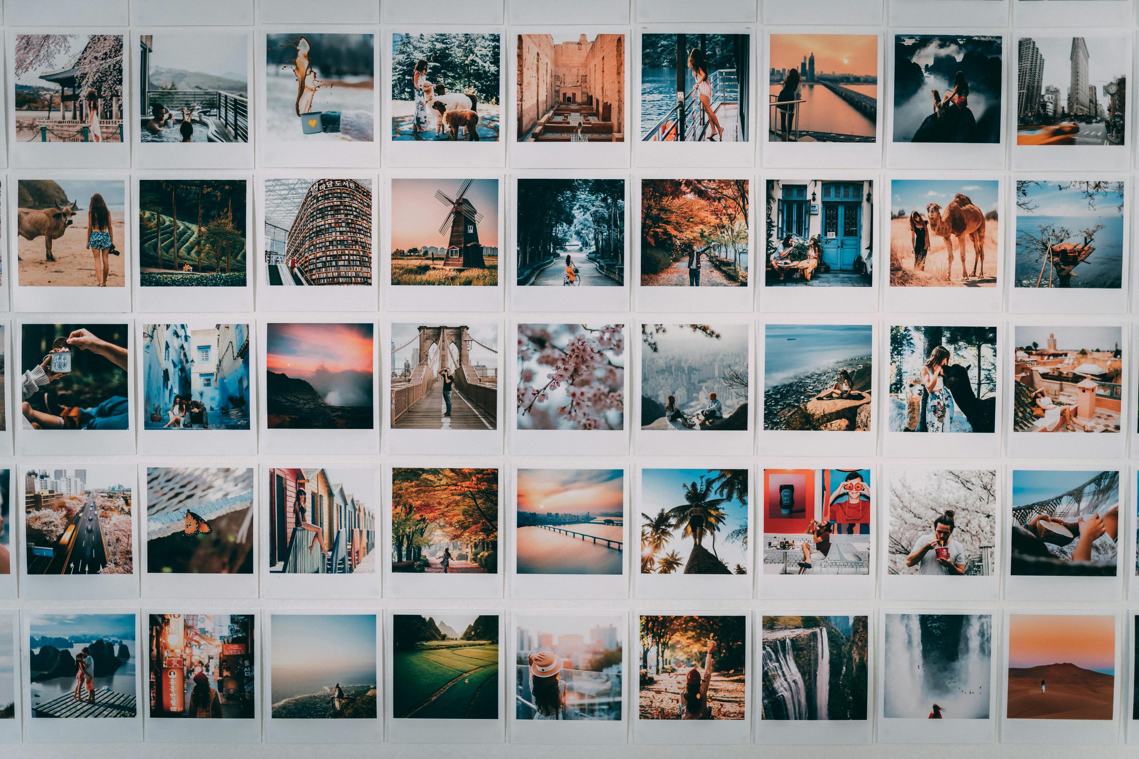 Choose up to 10 themes